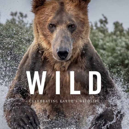 Wild Lives: The World’s Most Extraordinary Wildlife