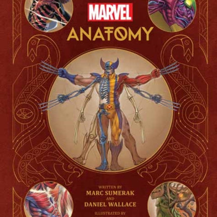 Marvel Anatomy