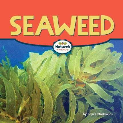 Seaweed