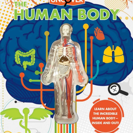 Uncover the Human Body