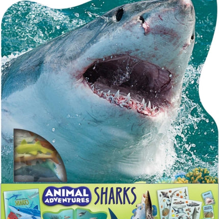 Animal Adventures Sharks