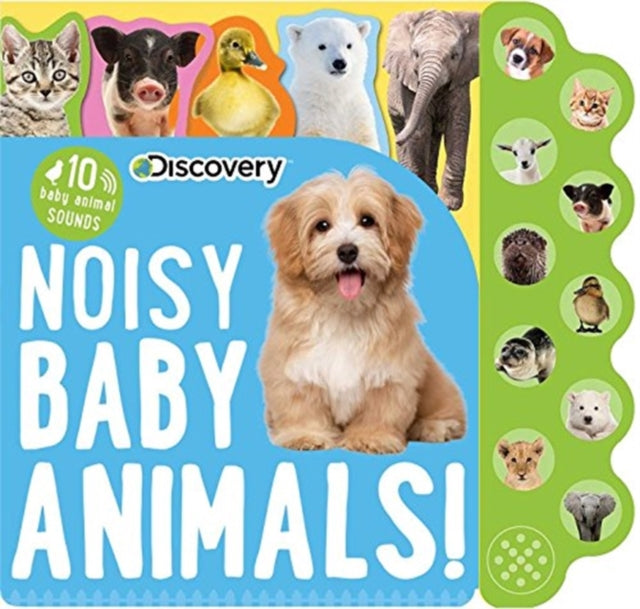 Discovery: Noisy Baby Animals!