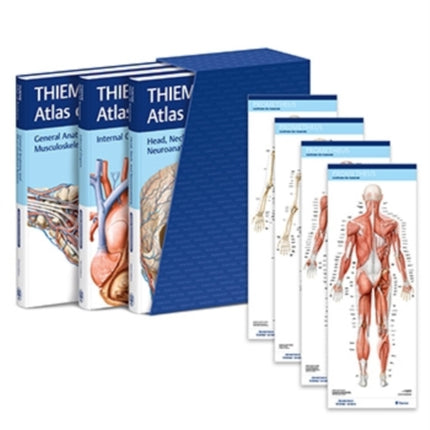 THIEME Atlas of Anatomy, Latin Nomenclature, Three Volume Set, Third Edition