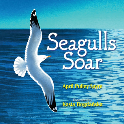 Seagulls Soar