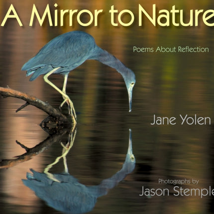 Mirror to Nature, A: Poems about Reflection