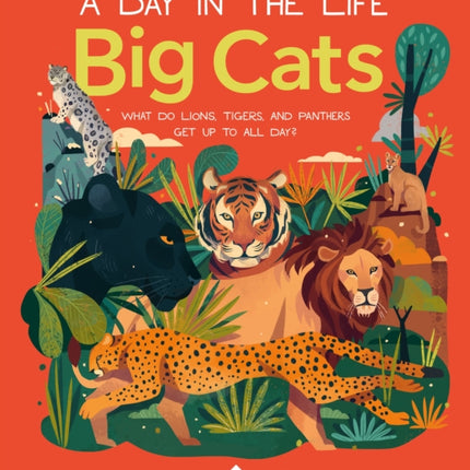 Big Cats (a Day in the Life): What Do Lions, Tigers, and Panthers Get Up to All Day?