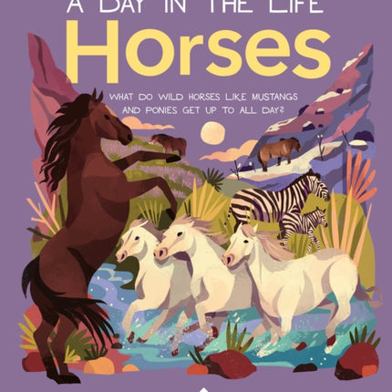 Horses (a Day in the Life): What Do Wild Horses Like Mustangs and Ponies Get Up to All Day?