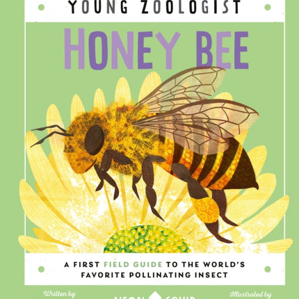 Honey Bee (Young Zoologist): A First Field Guide to the World's Favorite Pollinating Insect