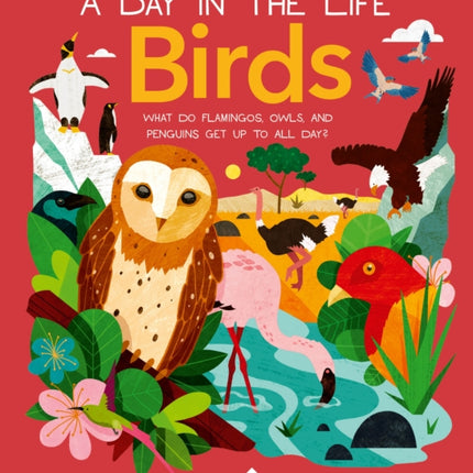 Birds (a Day in the Life): What Do Flamingos, Owls, and Penguins Get Up to All Day?