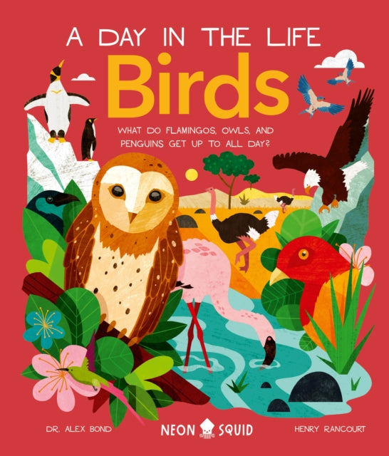 Birds (a Day in the Life): What Do Flamingos, Owls, and Penguins Get Up to All Day?