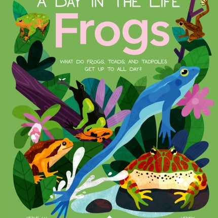 Frogs (a Day in the Life): What Do Frogs, Toads, and Tadpoles Get Up to All Day?