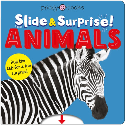 Animals Slide  Surprise