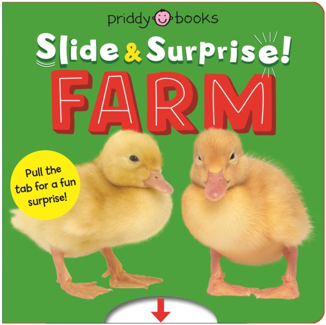 Farm Slide  Surprise