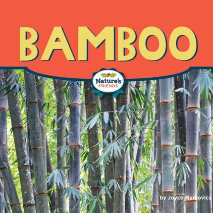 Bamboo