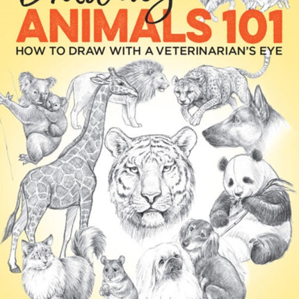 Drawing Animals 101: How to Draw with a Veterinarian's Eye