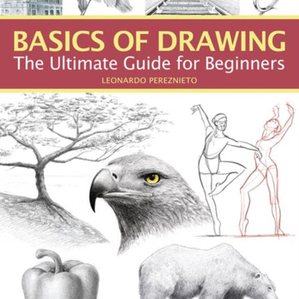 Basics of Drawing: The Ultimate Guide for Beginners