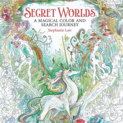 Secret Worlds: A Magical Color and Search Journey