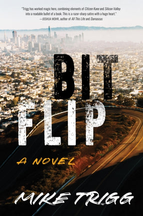 Bit Flip: A Novel