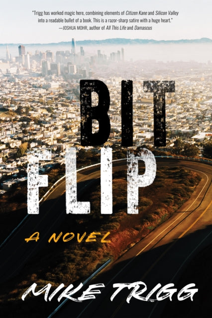 Bit Flip: A Novel