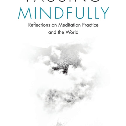Pausing Mindfully: Reflections on Meditation