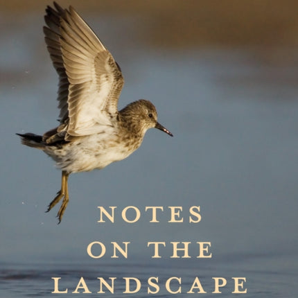 Notes on the Landscape of Home