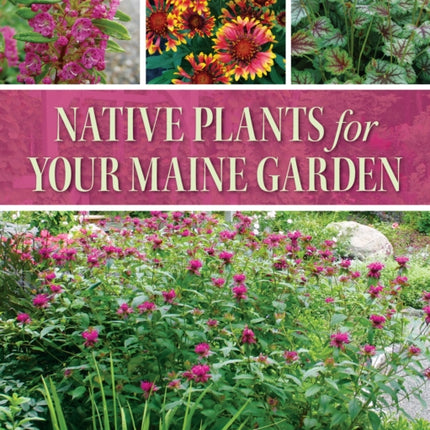 Native Plants for Your Maine Garden