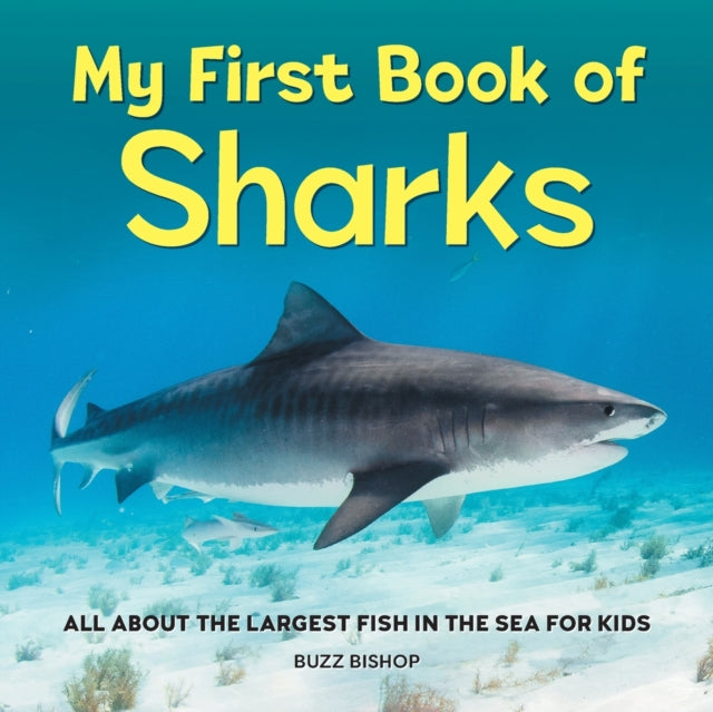 My First Book of Sharks: All about the Largest