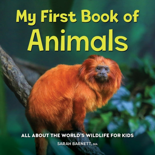 My First Book of Animals: All about the World's