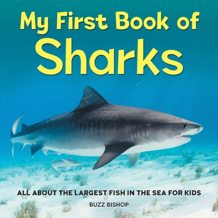 My First Book of Sharks: All about the Largest