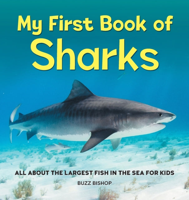 My First Book of Sharks: All about the Largest