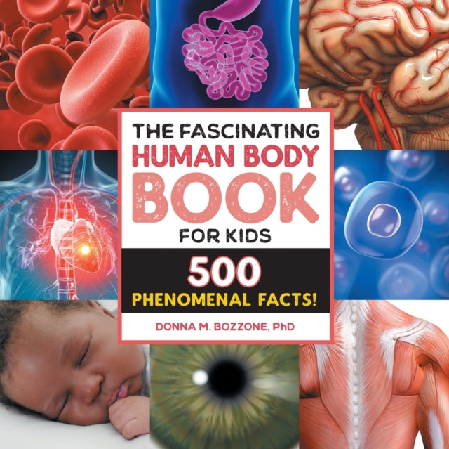 The Fascinating Human Body Book for Kids: 500