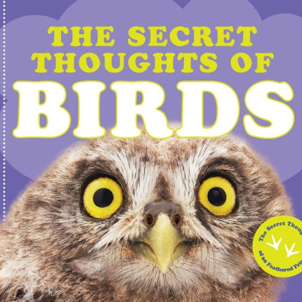 The Secret Thoughts of Birds