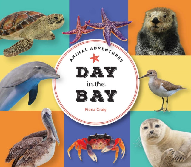 Animal Adventures Day at the Beach