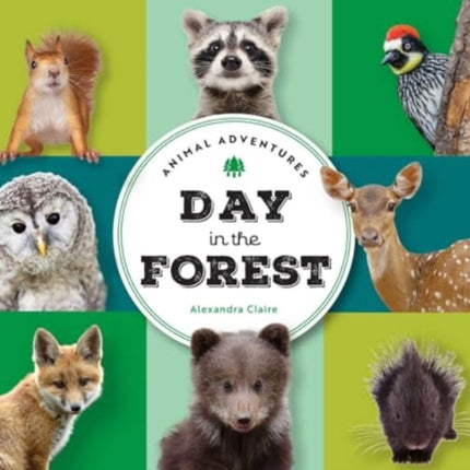Animal Adventures Day in the Forest