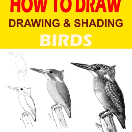 Drawing and shading Birds: How to draw