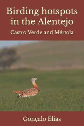Birding hotspots in the Alentejo: Castro Verde and Mértola