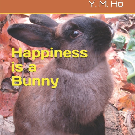 Happiness is a Bunny