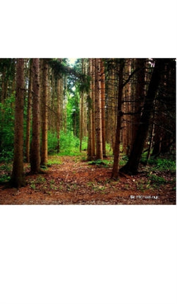 Nature grid style notebook $ir Michael NYC