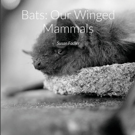 Bats