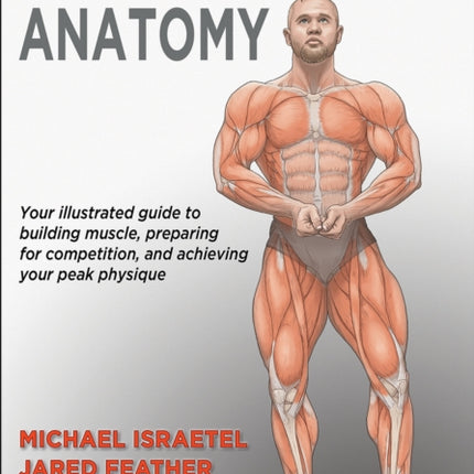 Bodybuilding Anatomy