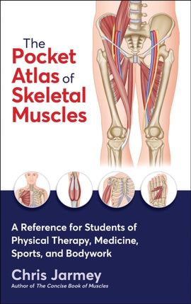 The Pocket Atlas of Skeletal Muscles: A Reference for Students of Physical Therapy, Medicine, Sports, and Bodywork