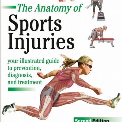 The Anatomy of Sports Injuries