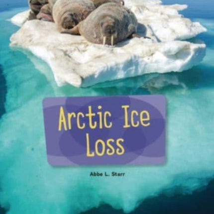 Arctic Ice Loss