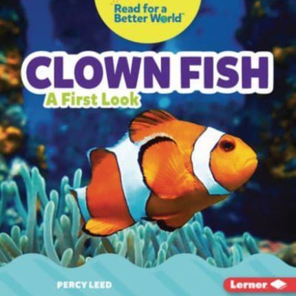 Clown Fish: A First Look