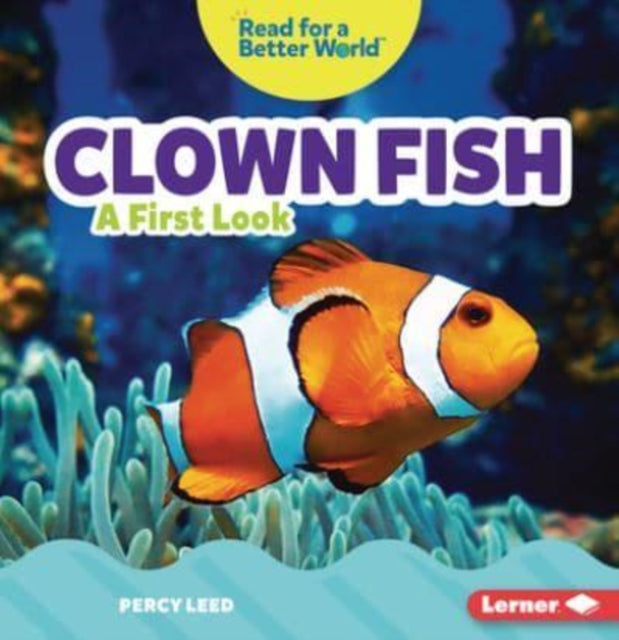 Clown Fish: A First Look