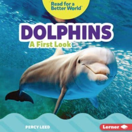 Dolphins: A First Look