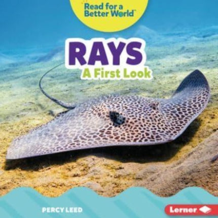 Rays: A First Look