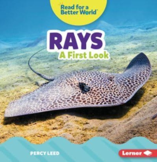 Rays: A First Look