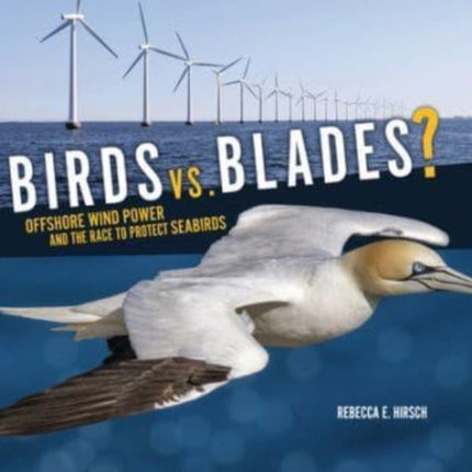 Birds vs. Blades?: Offshore Wind Power and the