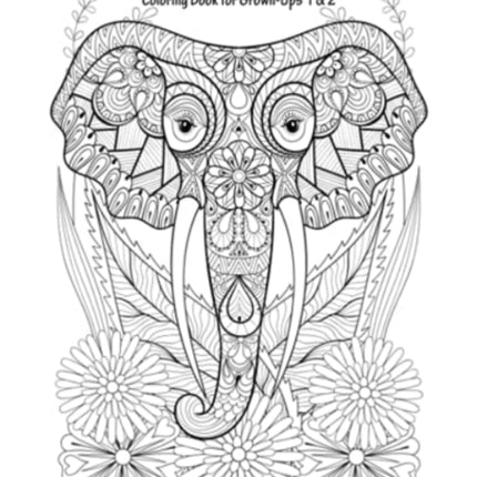 Zendoodle Art Coloring Book for Grown-Ups 1 & 2